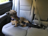 Adjustable Dog Seatbelt.