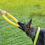 Flying Training Ring