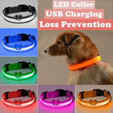 Nylon Led Light Up Visibility Collar.