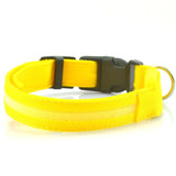 Nylon Led Light Up Visibility Collar.