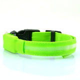 Nylon Led Light Up Visibility Collar.