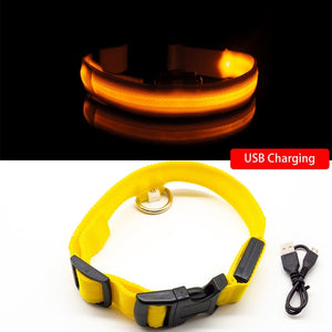 Nylon Led Light Up Visibility Collar.