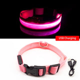 Nylon Led Light Up Visibility Collar.