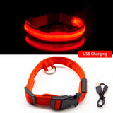 Nylon Led Light Up Visibility Collar.