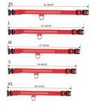 Nylon Led Light Up Visibility Collar.