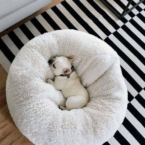 Anti Anxiety Pet bed